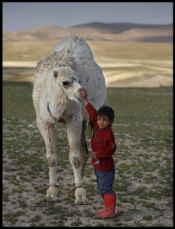 Young boy and his friend dromedar - Sed Wadi Abied