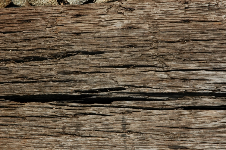 DSC_5822.JPG
