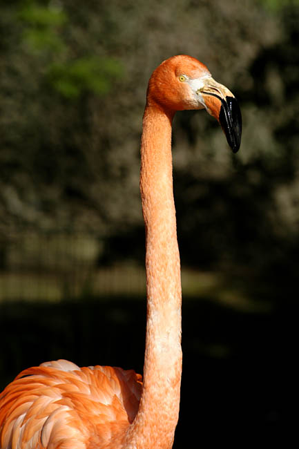 Zoo_02.jpg