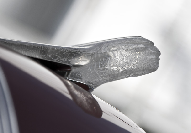 Pontiac Hood Ornament  IMG_9981.jpg