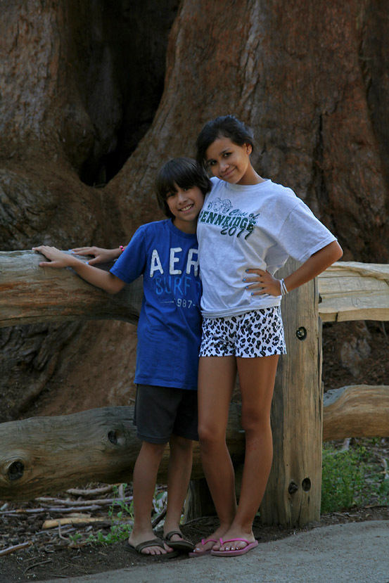 IMG_5118 In the Sequoia woods