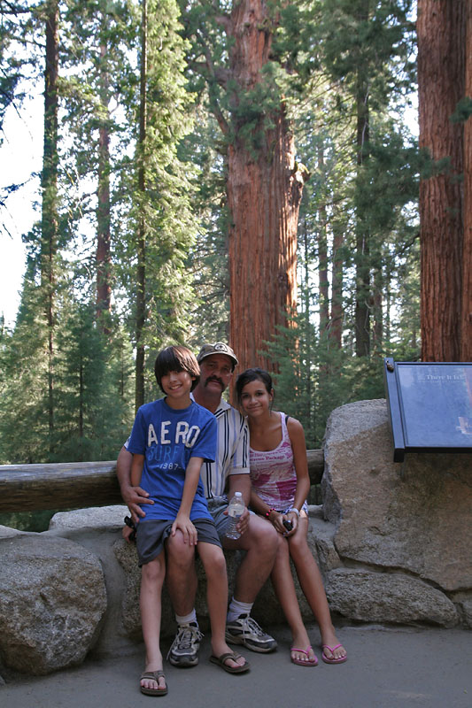 IMG_5133 Sequoia tall tree