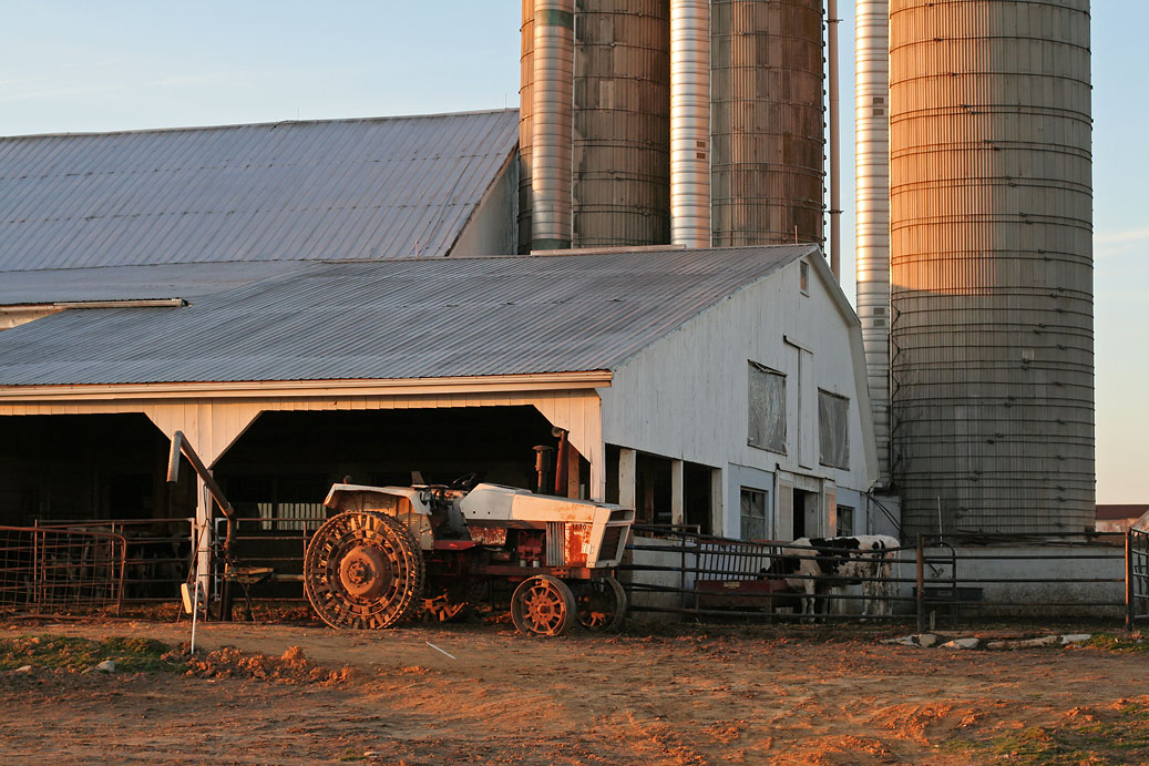 IMG_6716 Tractor