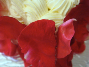 DSC08709.jpg