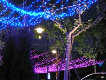 P1020411.jpg