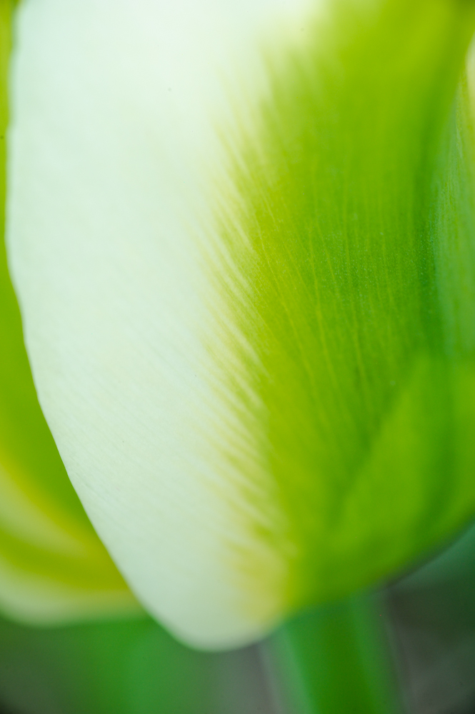 DSC_5139_web.jpg