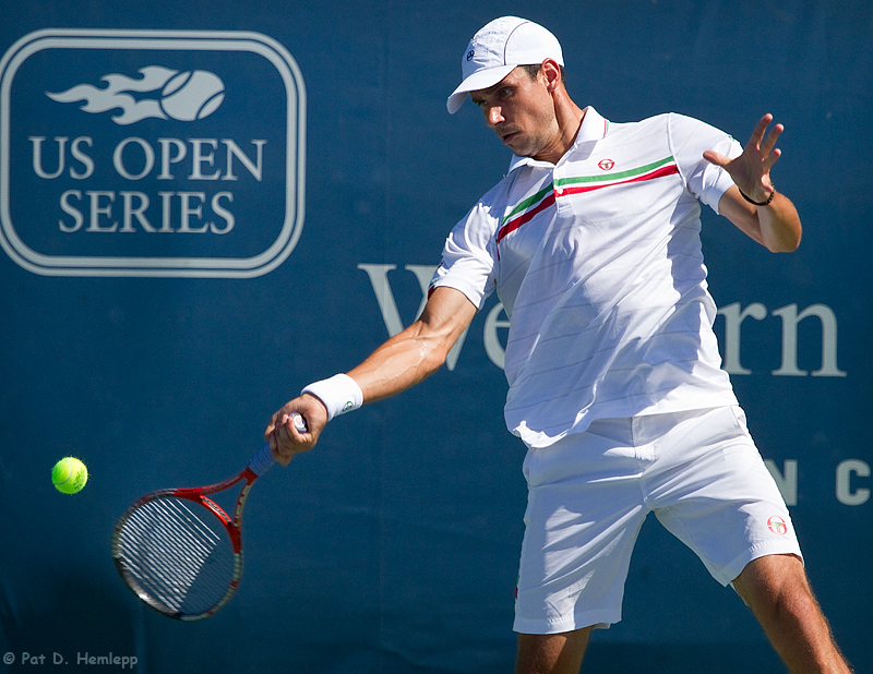 Victor Hanescu, 2010