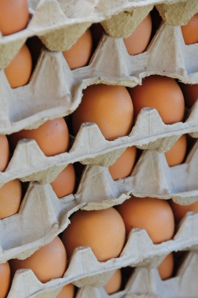 14 0973 Organic eggs