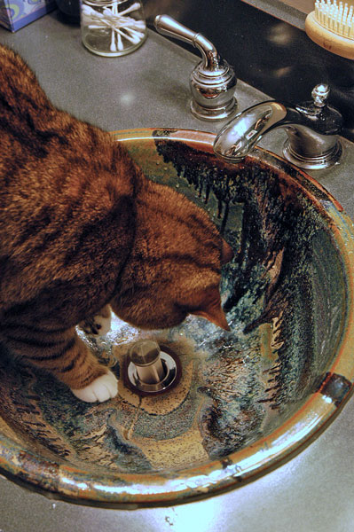 20 Hobbes adjusts the stopper in the sink 1899