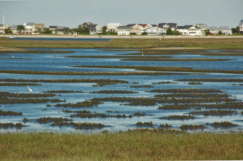 26 Low tide at Murrells Inlet