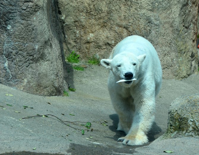 2012 05 26_0354.JPG