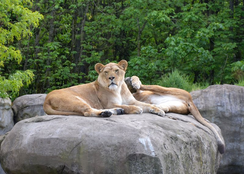 2012 05 26_0488b.jpg