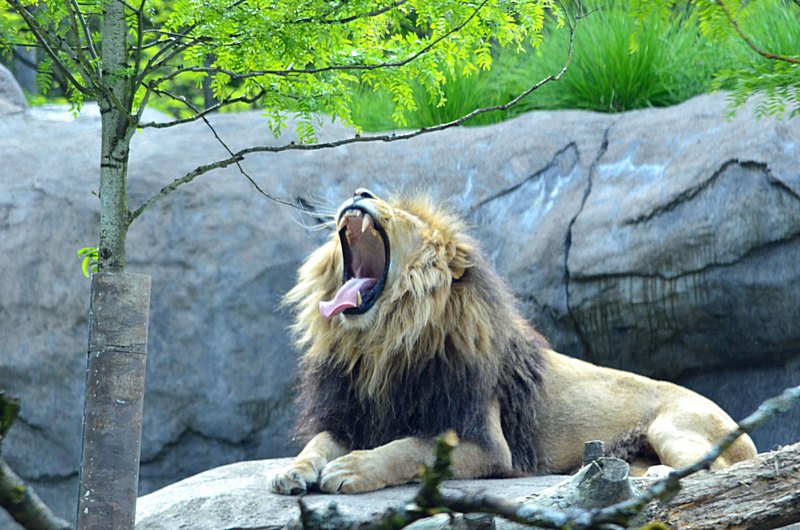 2012 05 26_0516.JPG