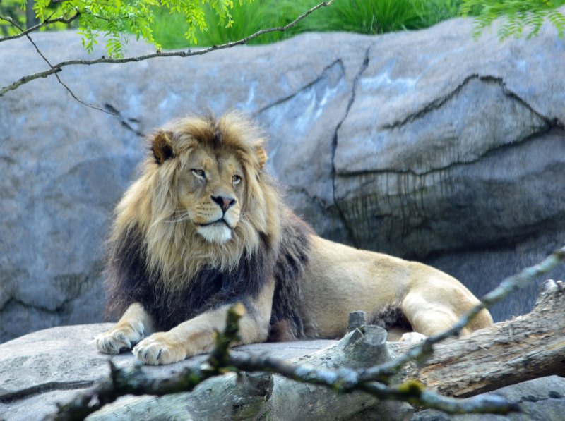 2012 05 26_0526.JPG