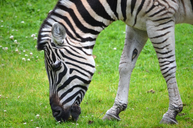 2012 05 26_0550.JPG
