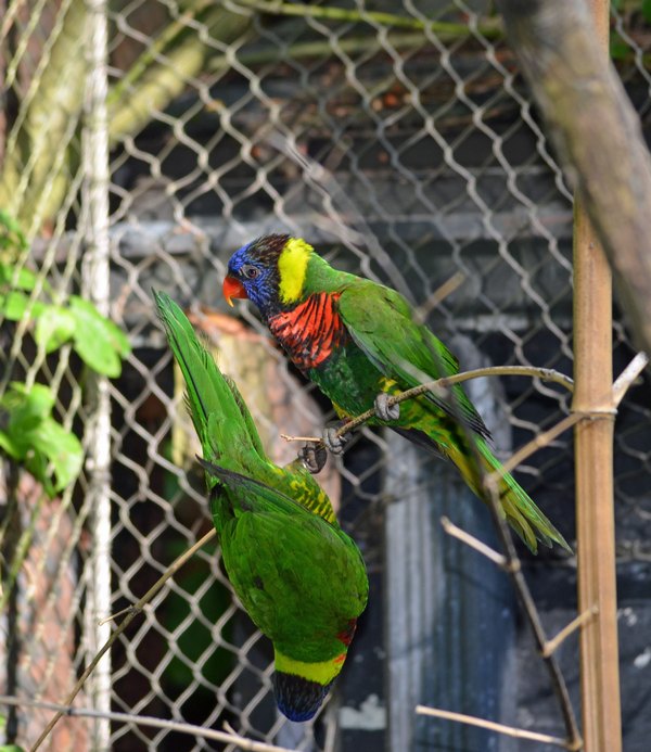 2012 05 26_0574.JPG
