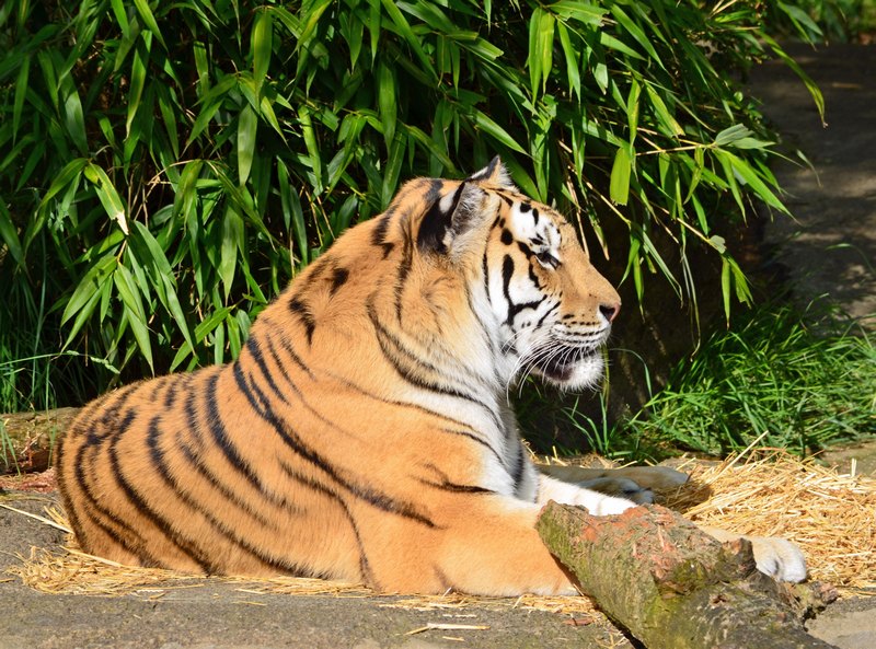 2012 05 26_0597.JPG
