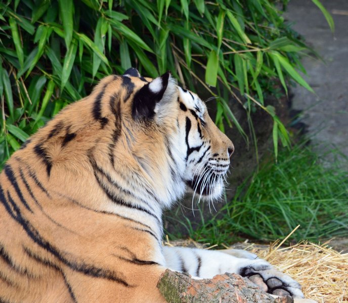 2012 05 26_0612.JPG