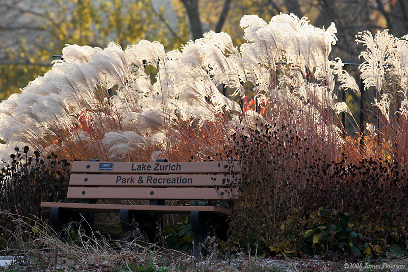 Park Bench (37044)