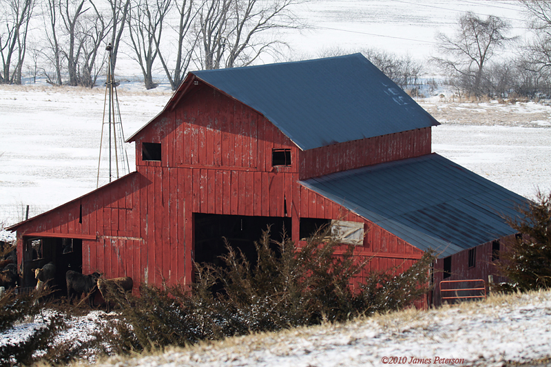 Barn Roof (5549)