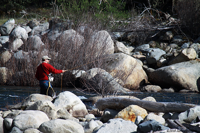 Fly Fishing on the Merced River (7457)