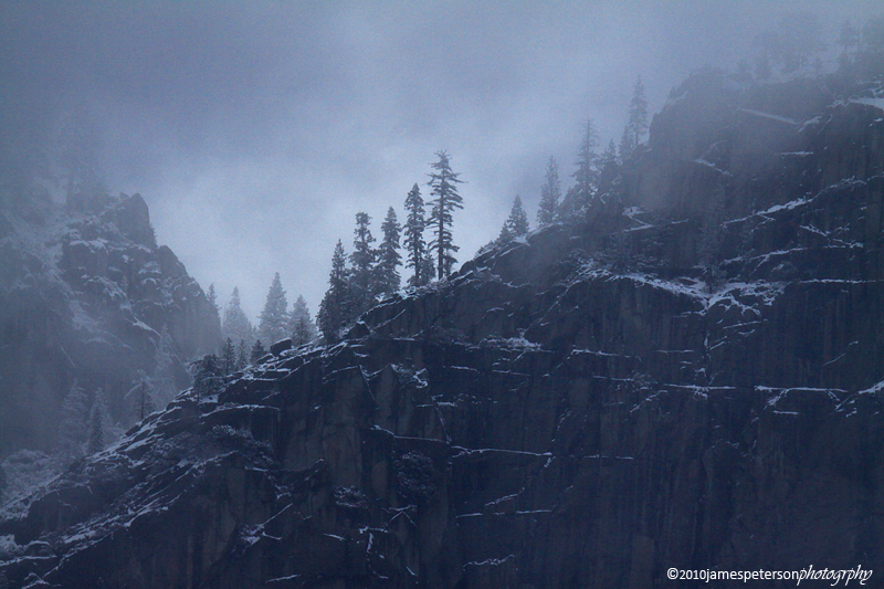 Yosemite Fog (7793)