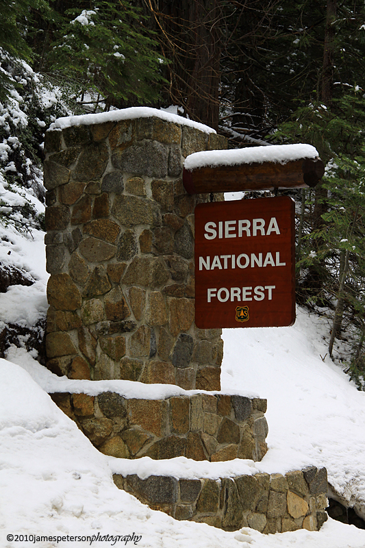 Sierra National Forest Sign (8488)