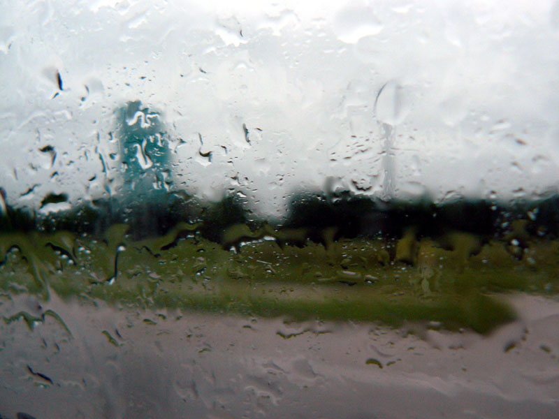 Roadside by Rain