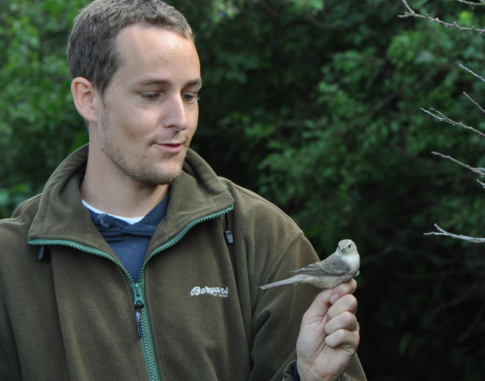 Johan Frlinghaus happy cought of Barred Warbler Gettern Halland