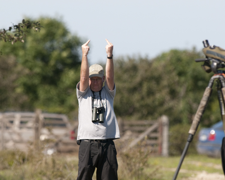 Mikael Nord twitching Long-legged Buzzard at Skoge Gotland