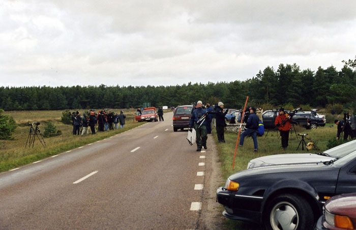 Janis  har X:at Kejsarrn Grdby l  13.10-3