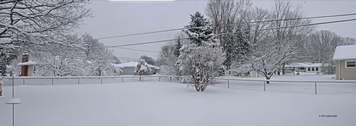 Backyard Pano