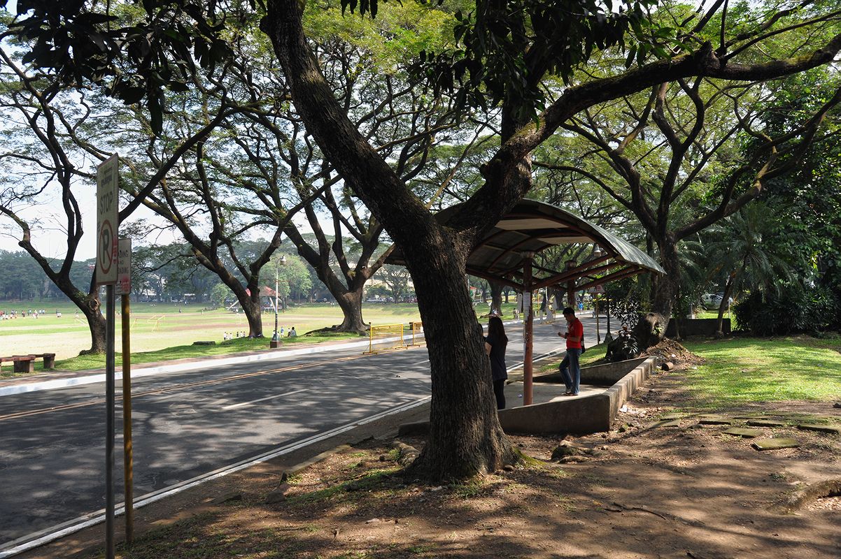 UPs sunken garden.