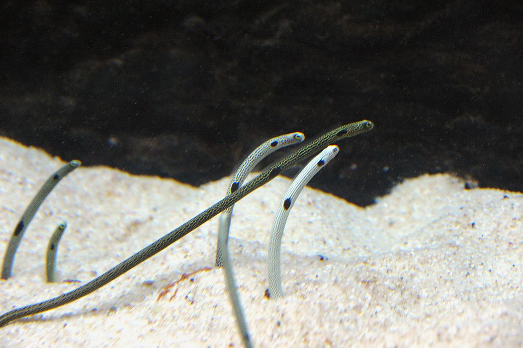 PC-DSC_0108.JPG