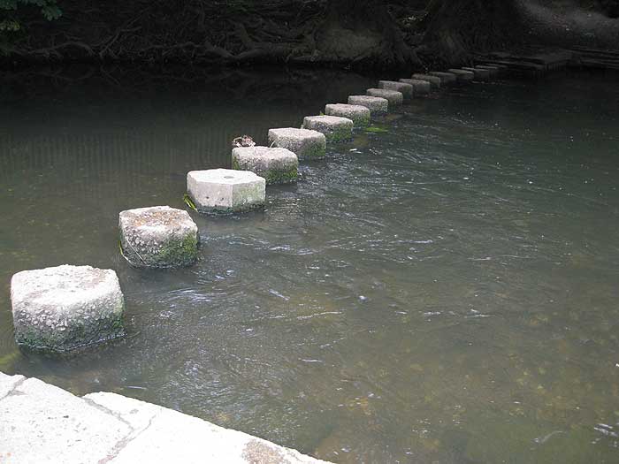 river mole stepping stones