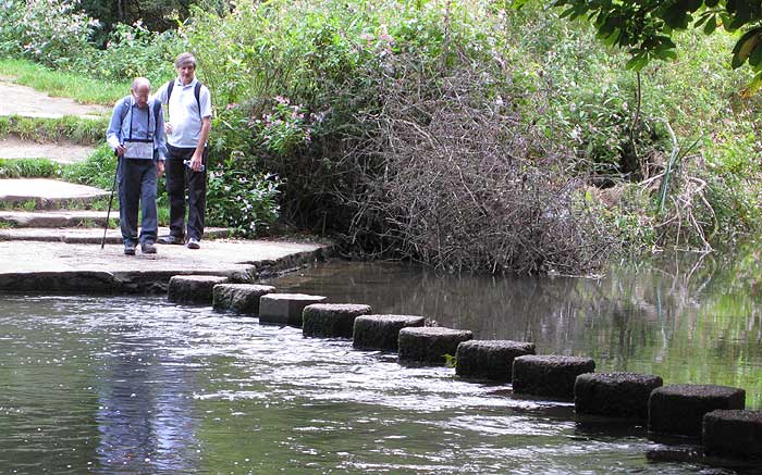 river mole stepping stones