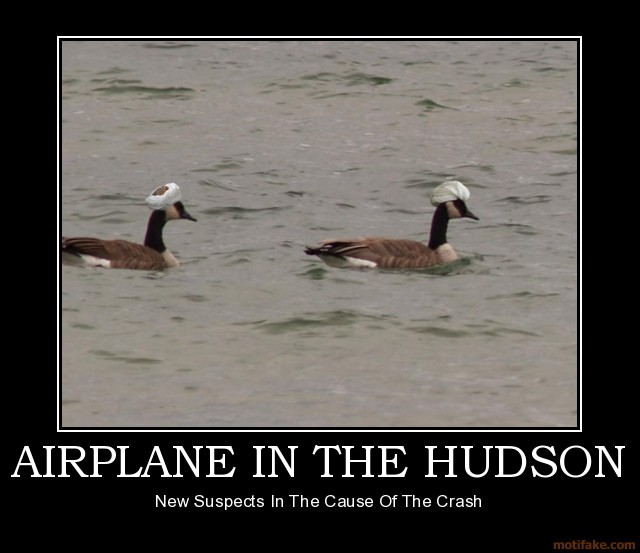 airplane-in-the-hudson-demotivational-poster-1232639052.jpg