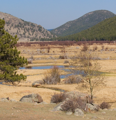 zP1040331 Some water remains in dry Moraine Park.jpg