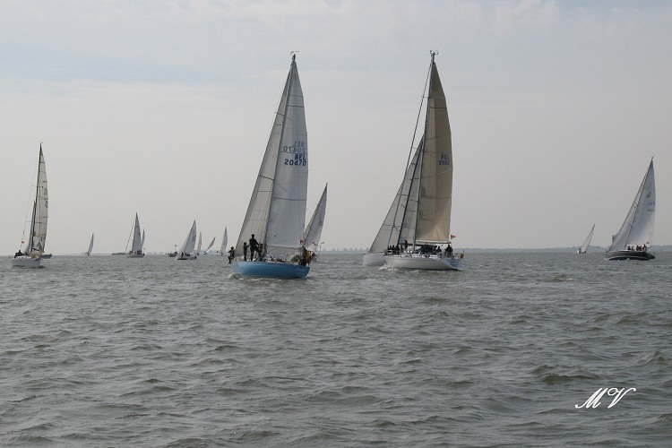 IMG_4025.JPG