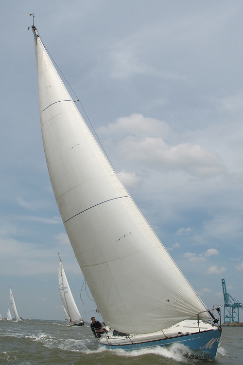 IMG_4123.JPG