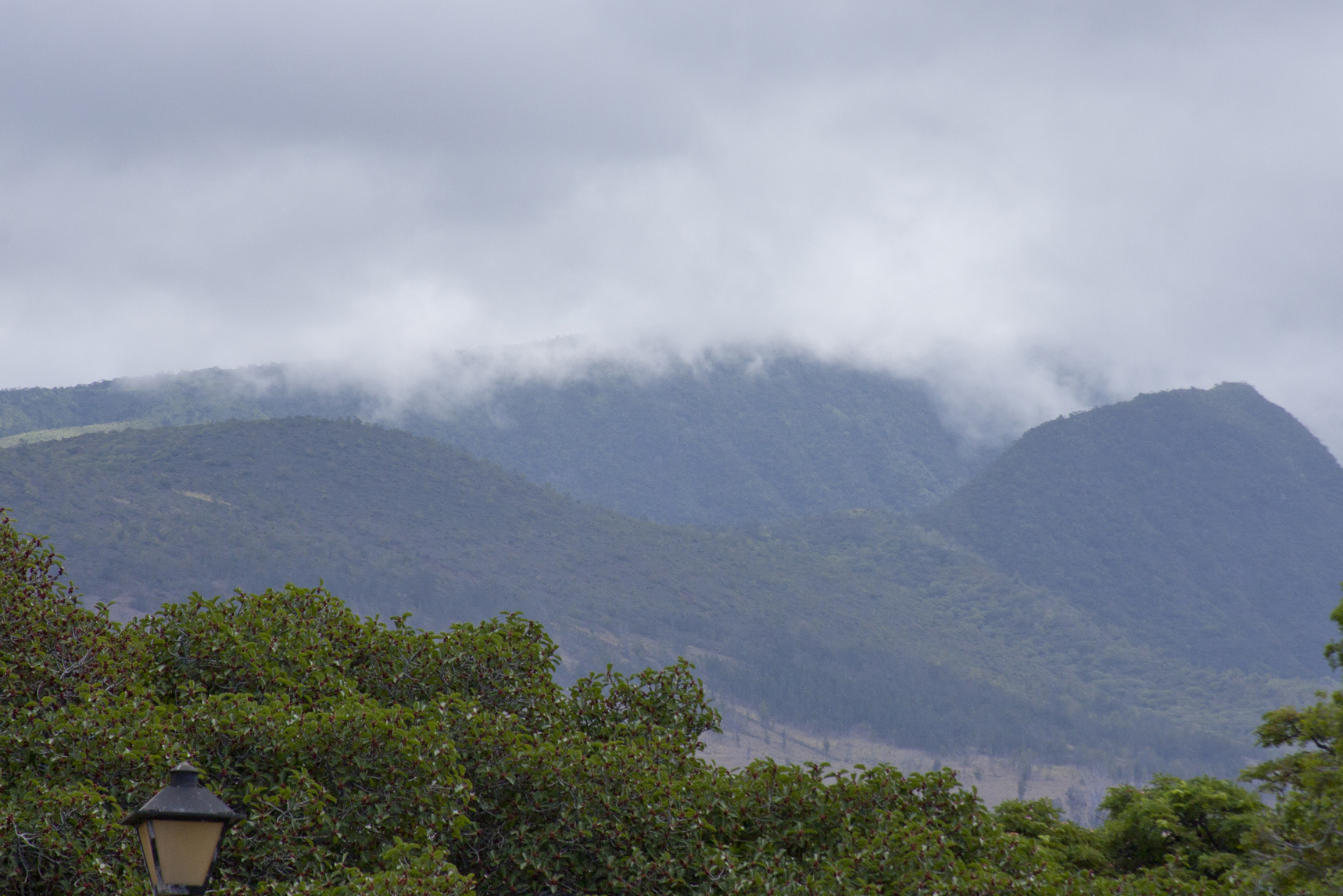looking inland.jpg