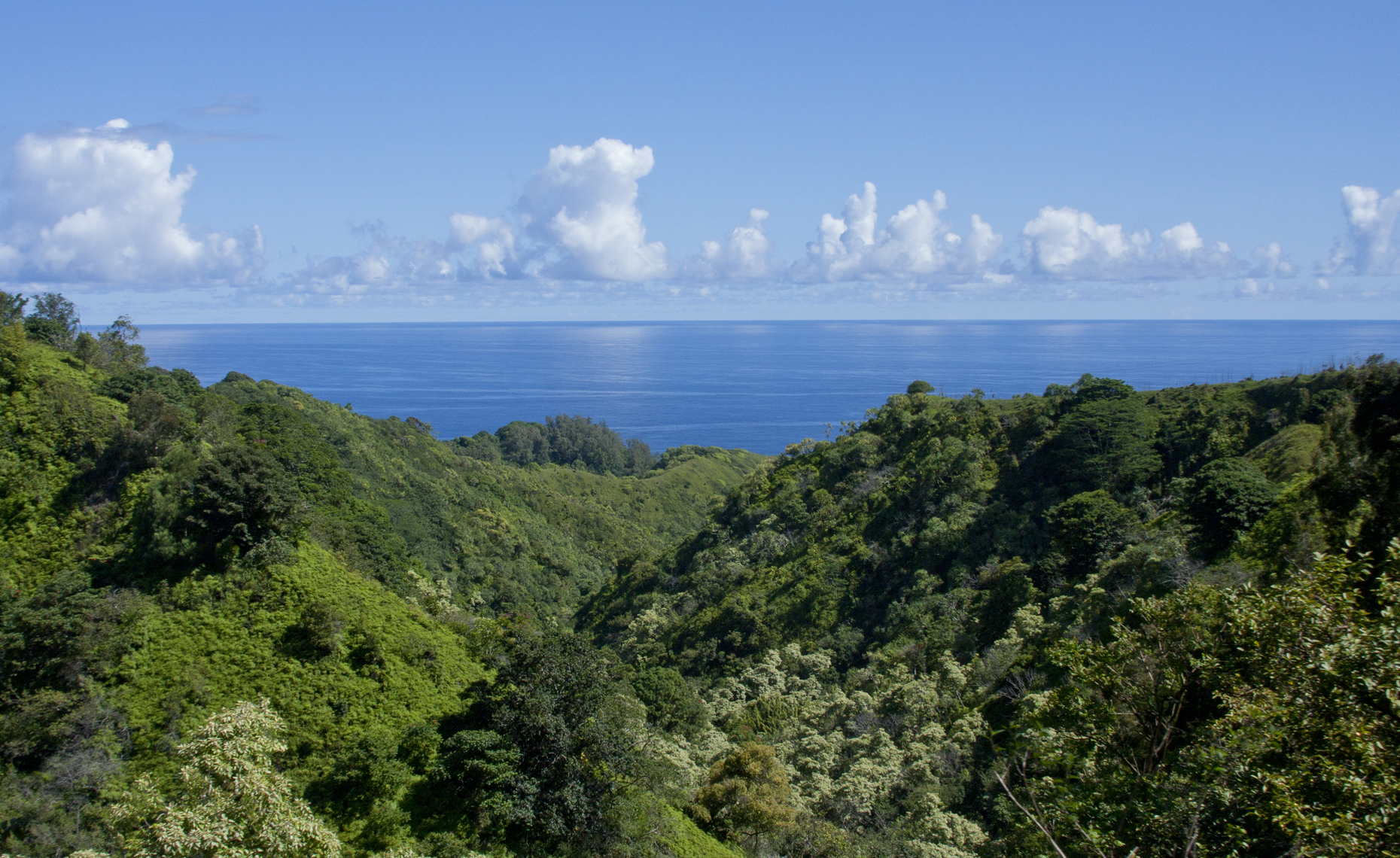 Road to Hana 1.jpg