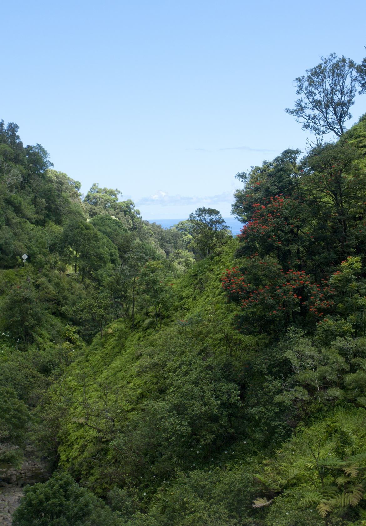Road to Hana 4.jpg