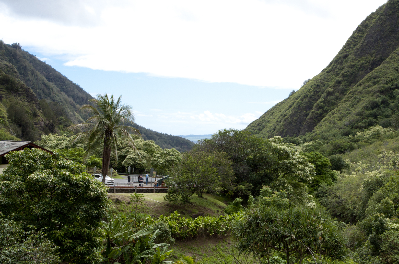 Iao valley.jpg