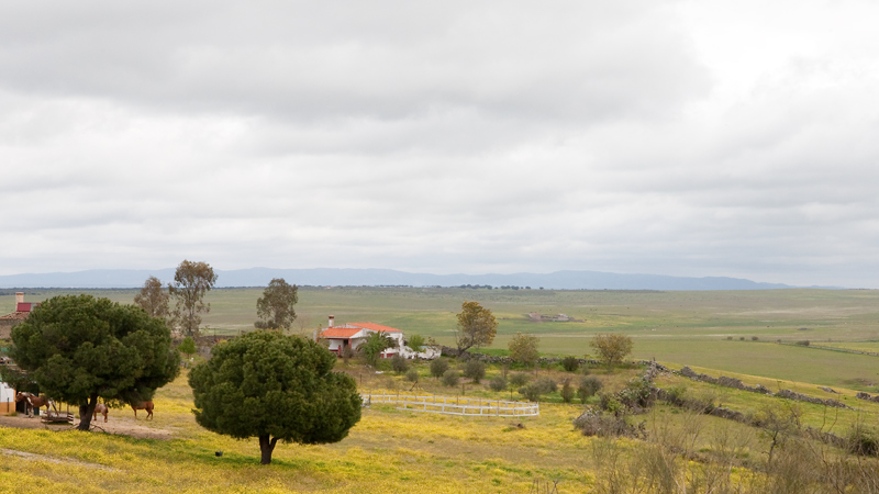 Extremadura surroundings 9D7E7530.jpg