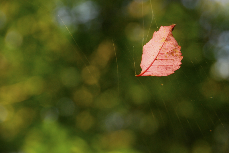 DSC_0359.JPG