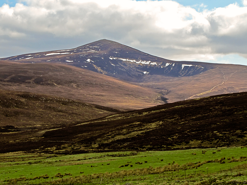 Mount Keen from above Etnach