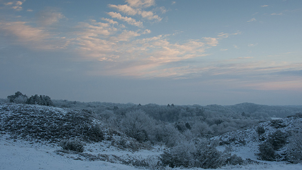 Wintry scene - vintermorgen 