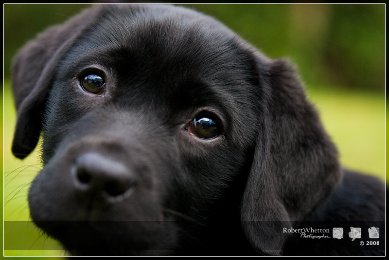 Lola Headshot.jpg