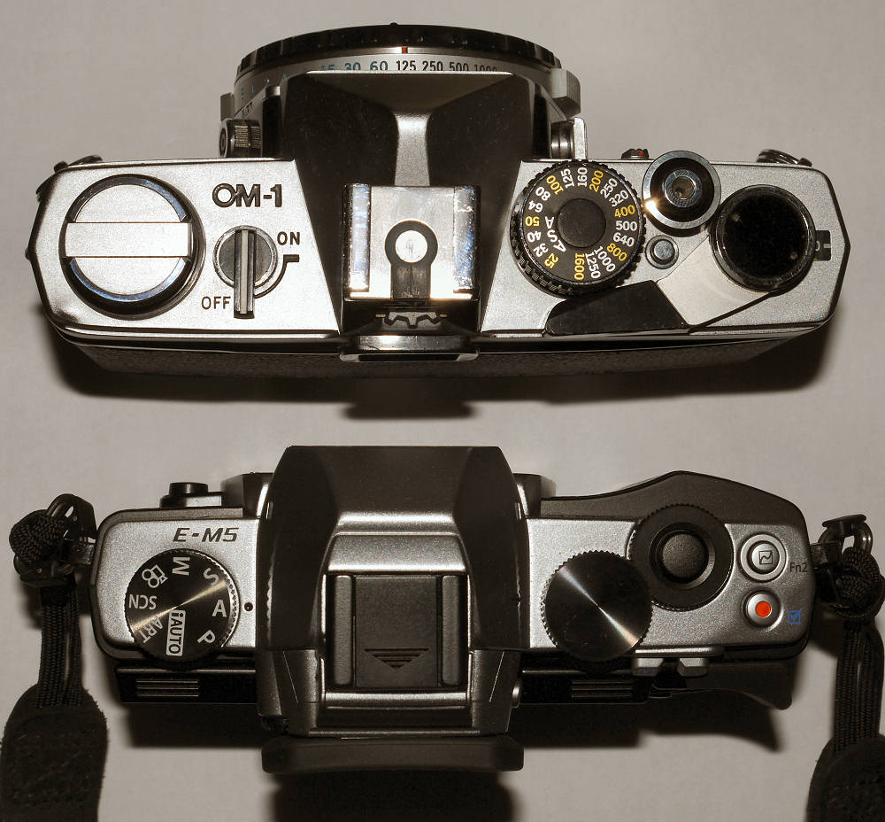 Olympus OM-D E-5M versus OM-1.jpg